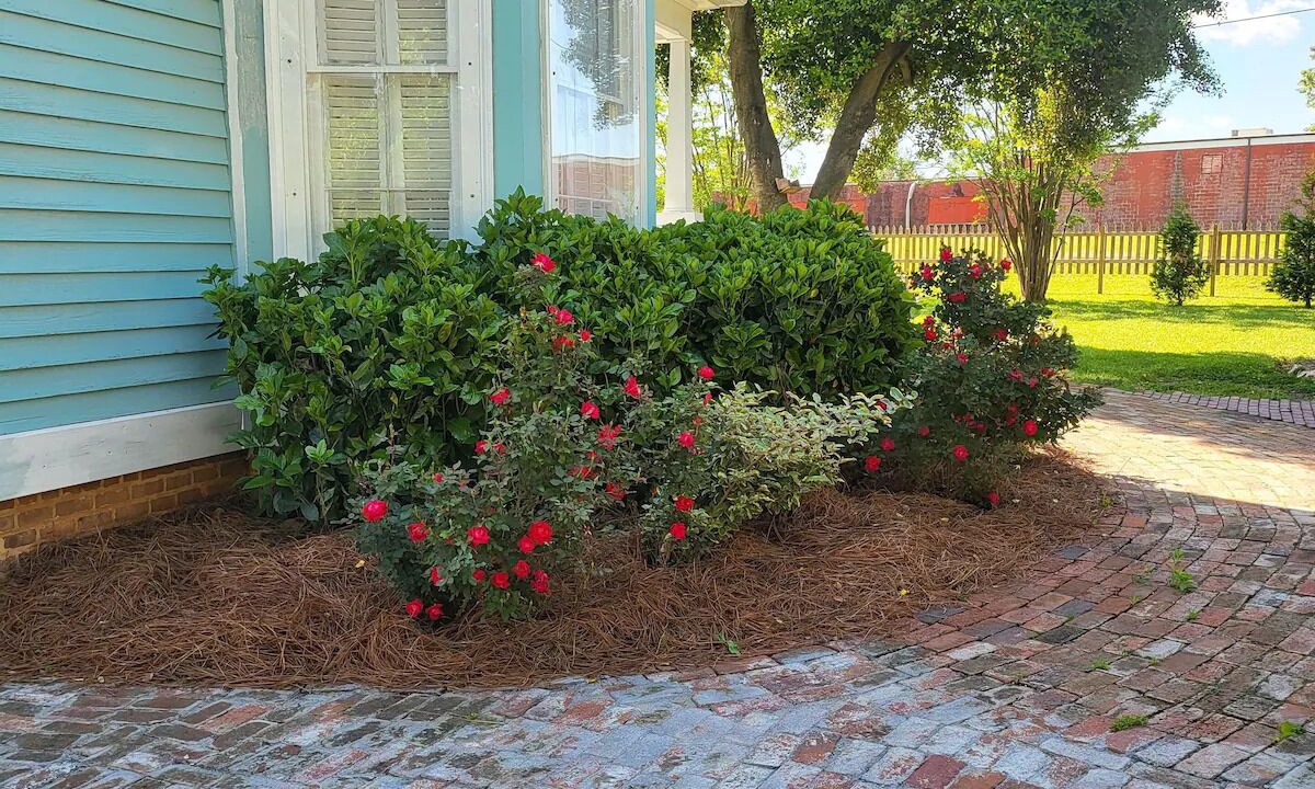 Photo of Outdoor in High Point