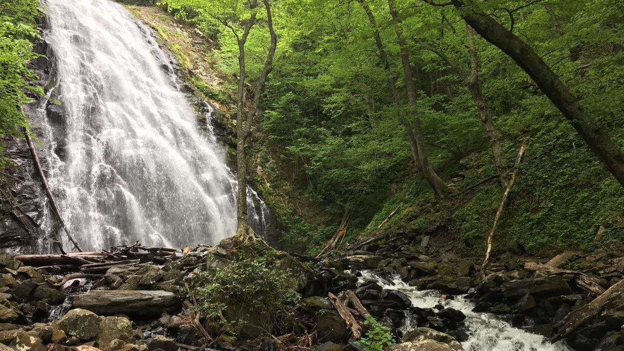 Photo of Others in Green Mountain