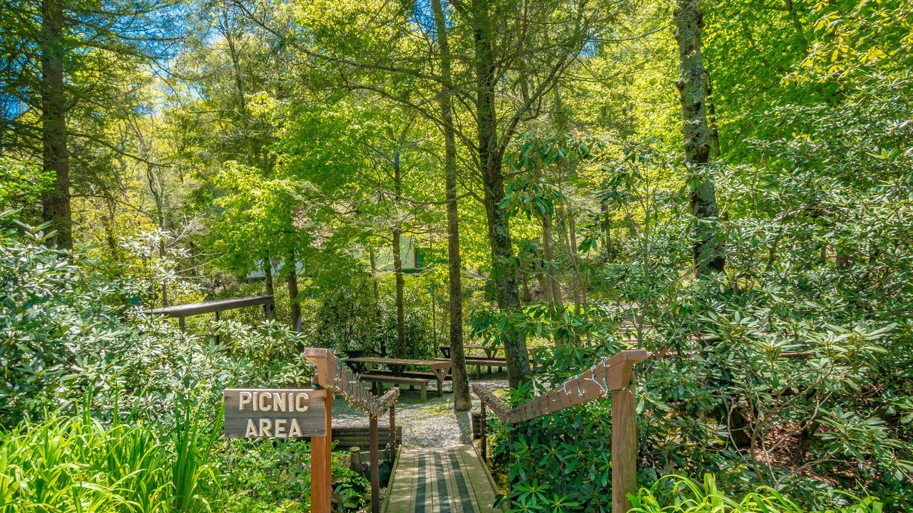 Photo of Outdoor in Blowing Rock