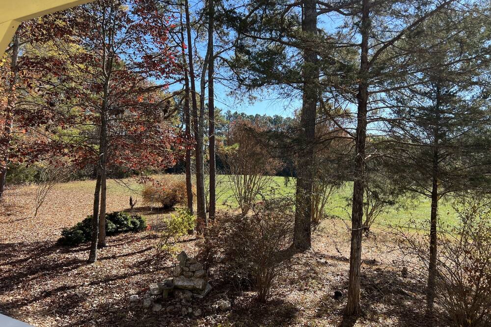 Photo of Others in Pittsboro