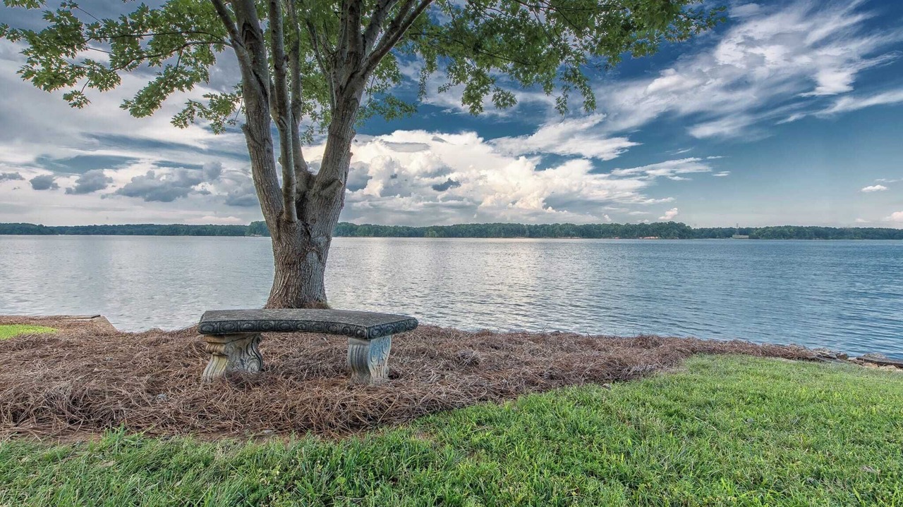 Photo of Others in Lake Norman of Catawba