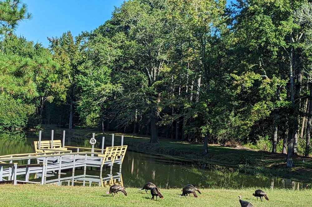 Photo of Outdoor in Greenville