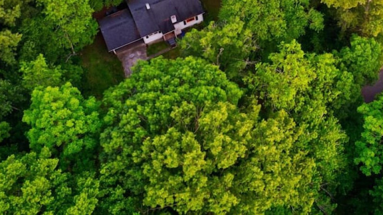 Photo of Outdoor in Candler