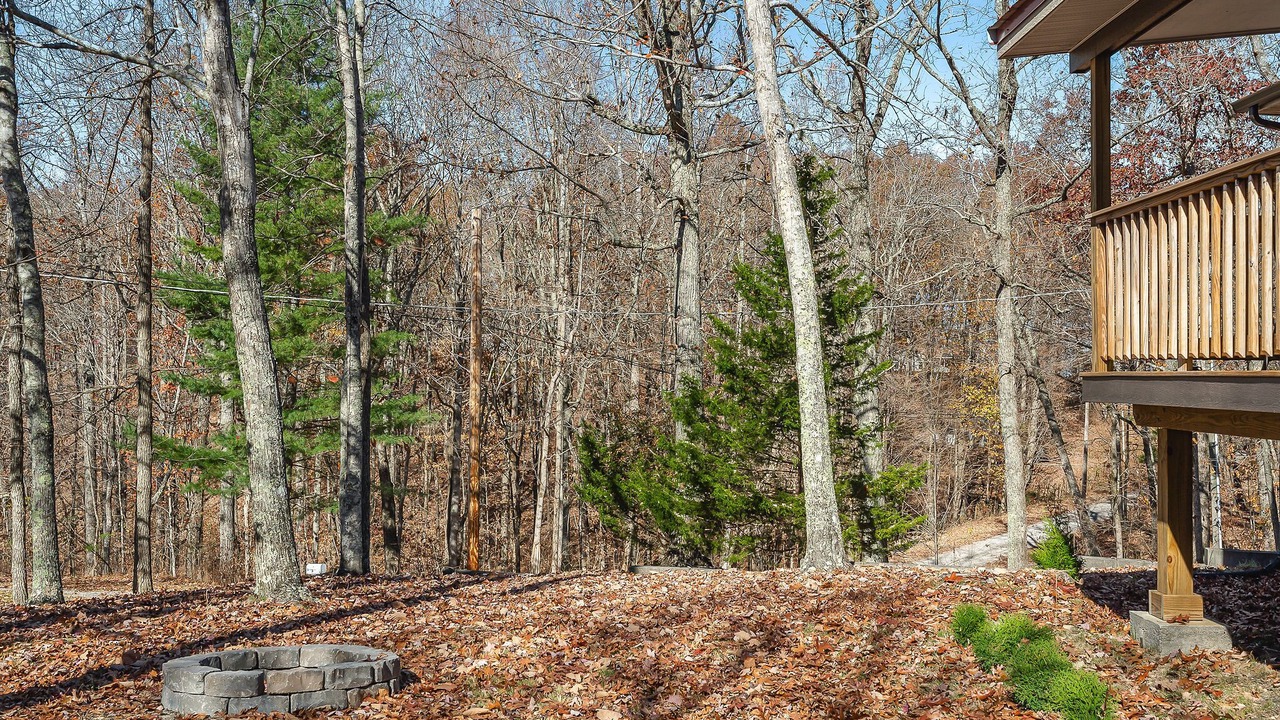 Photo of Outdoor in Smithville