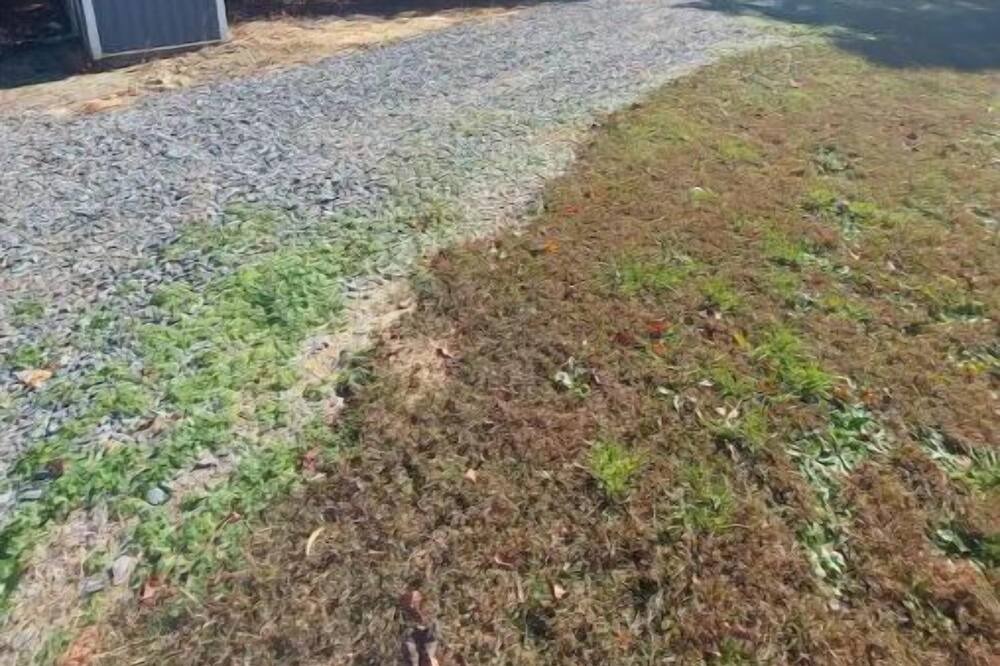 Photo of Outdoor in Randolph County