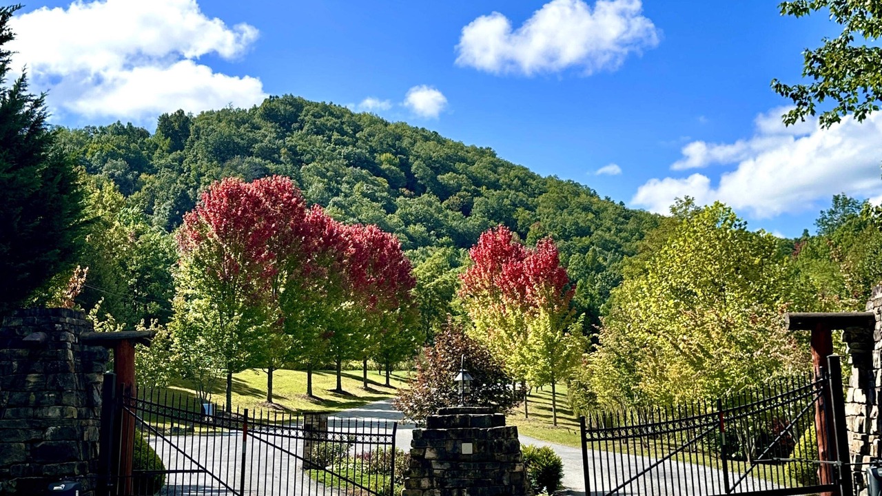 Photo of Outdoor in Black Mountain