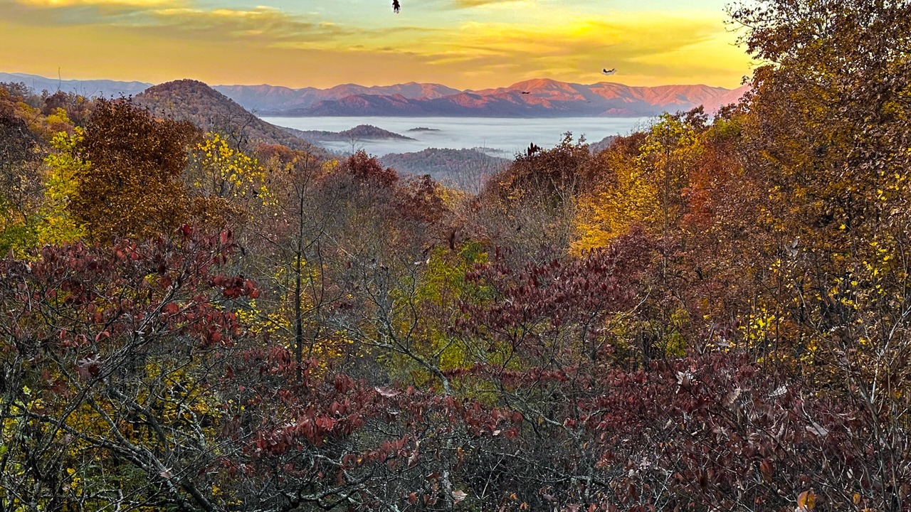 Photo of Outdoor in Franklin