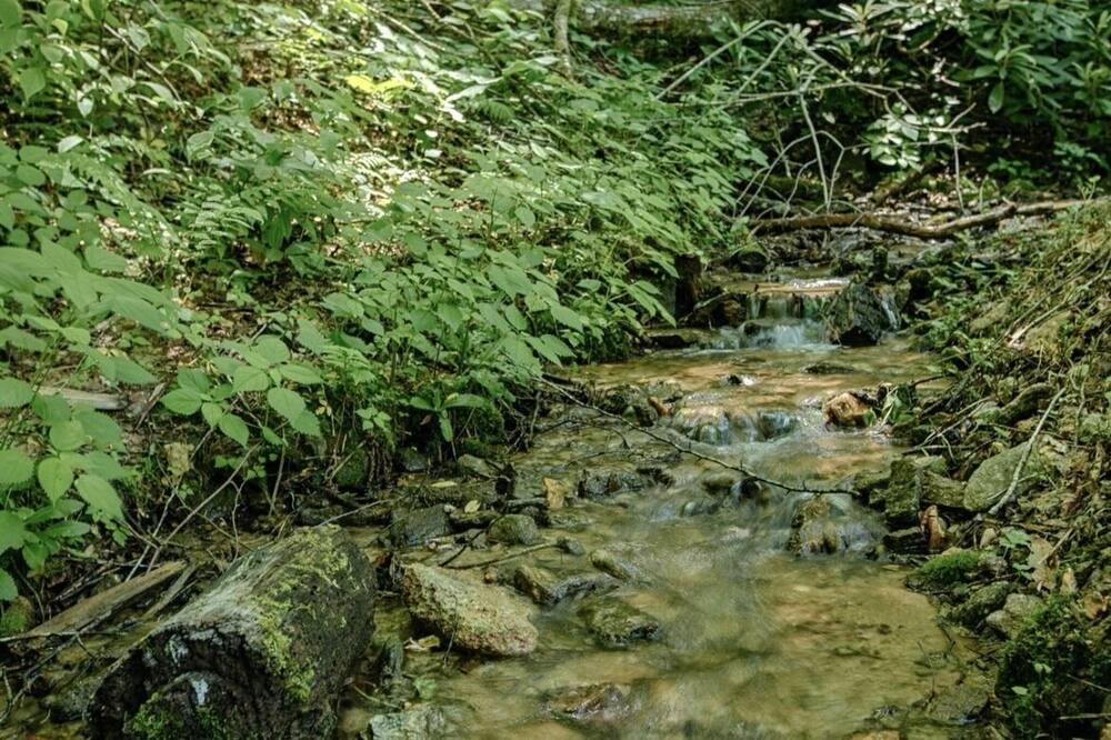 Photo of Outdoor in Maggie Valley