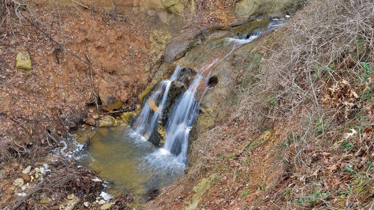 Photo of Others in Westover