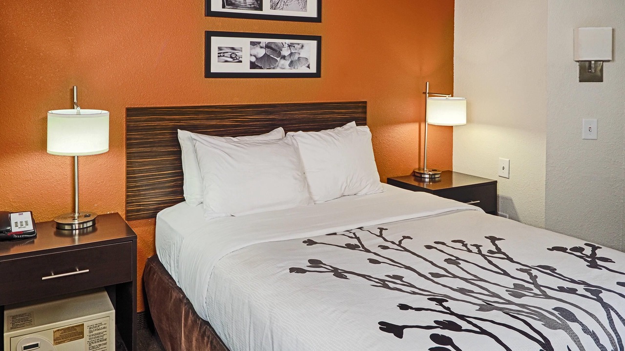 Photo of Bedroom in Pine Forest