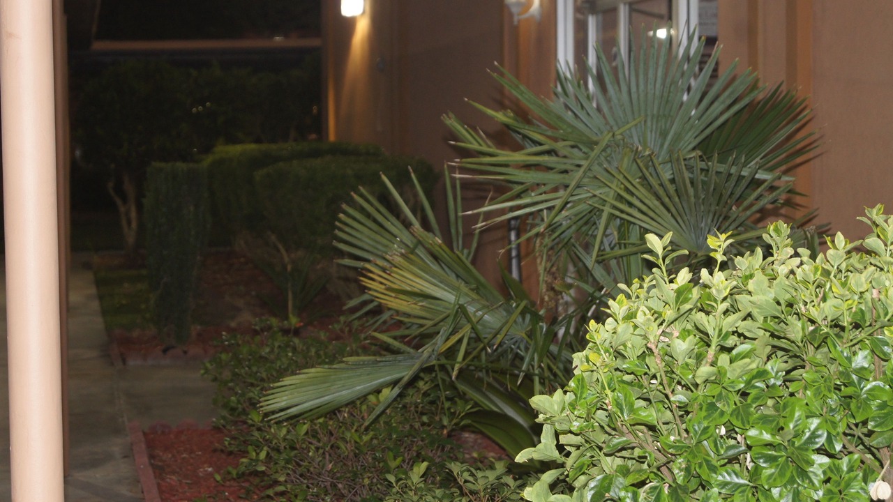 Photo of Outdoor in Durham