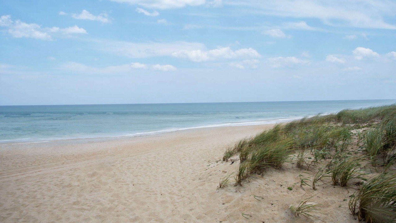 Photo of Others in Kill Devil Hills