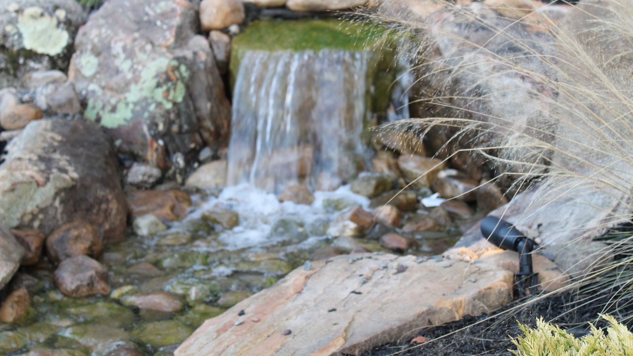 Photo of Outdoor in Winston - Salem