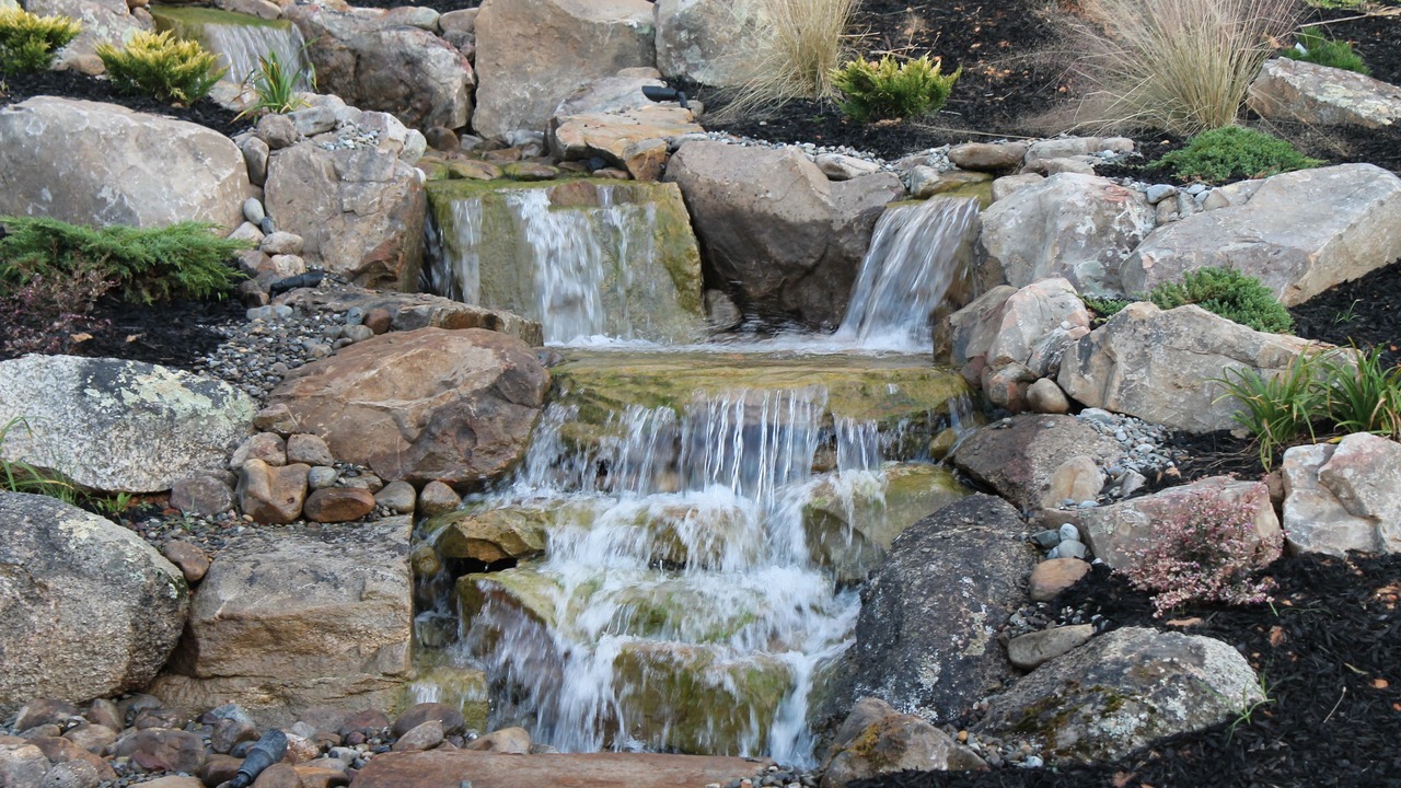 Photo of Outdoor in Winston - Salem