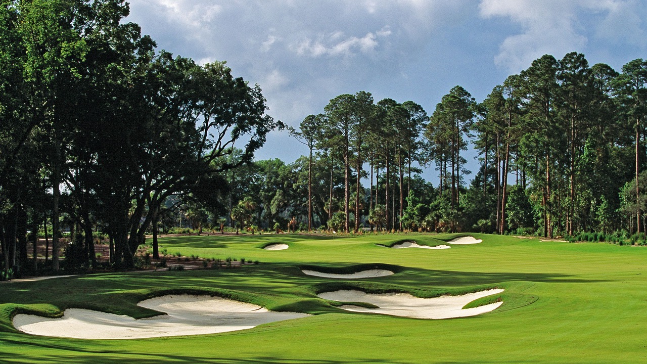 Photo of Others in Palmetto Dunes