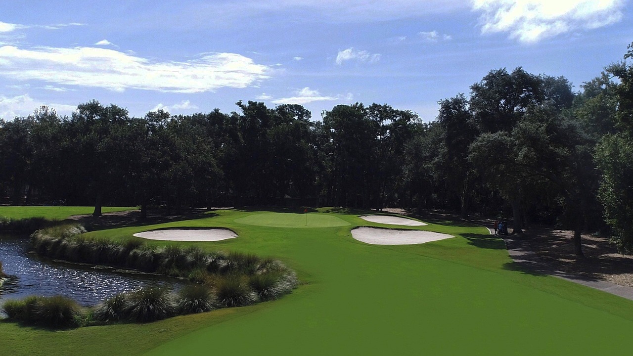 Photo of Others in Palmetto Dunes