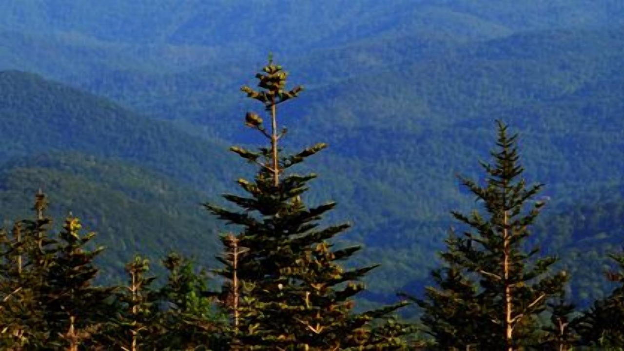Photo of Outdoor in Blowing Rock