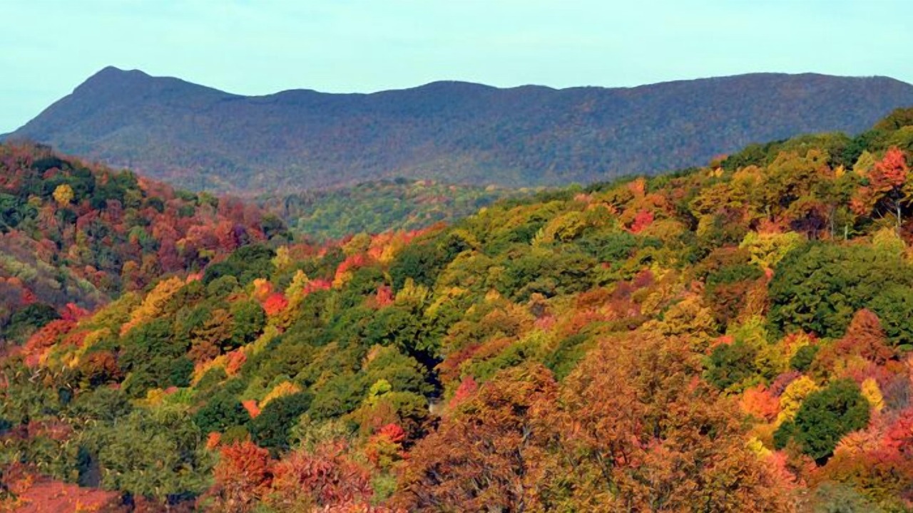 Photo of Others in Blowing Rock