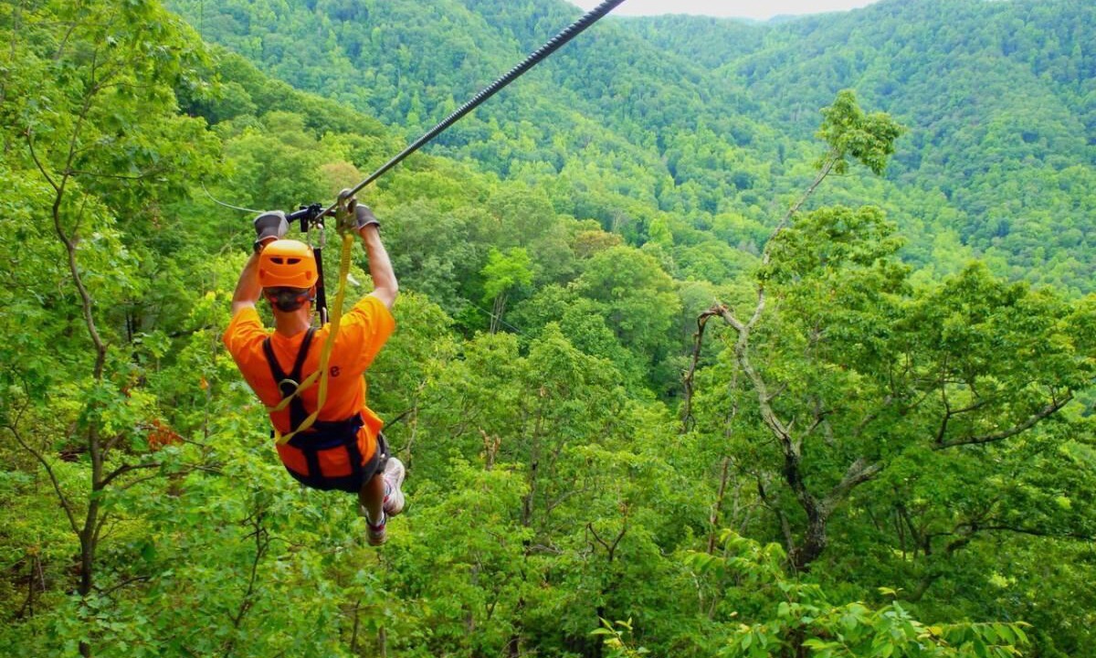 Photo of Others in Saluda