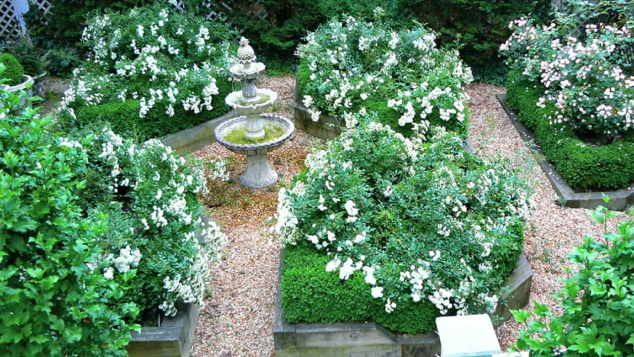 Photo of Outdoor in Historic Montford