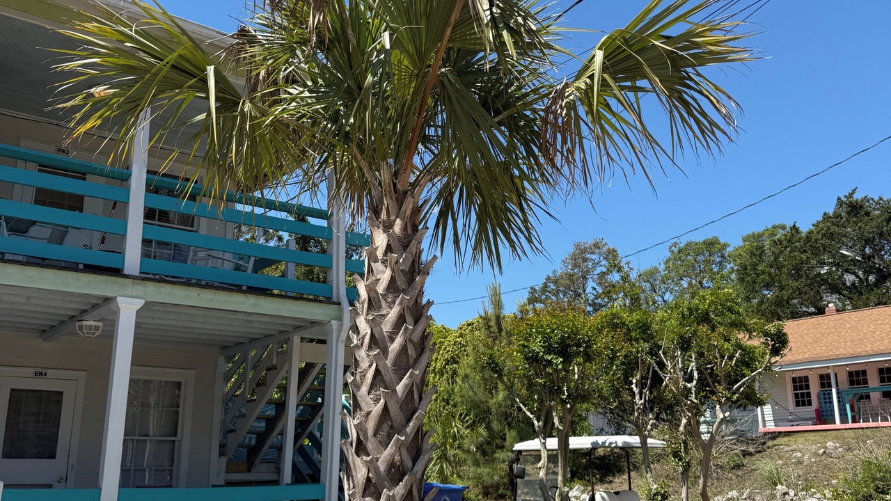 Photo of Others in Downtown Myrtle Beach