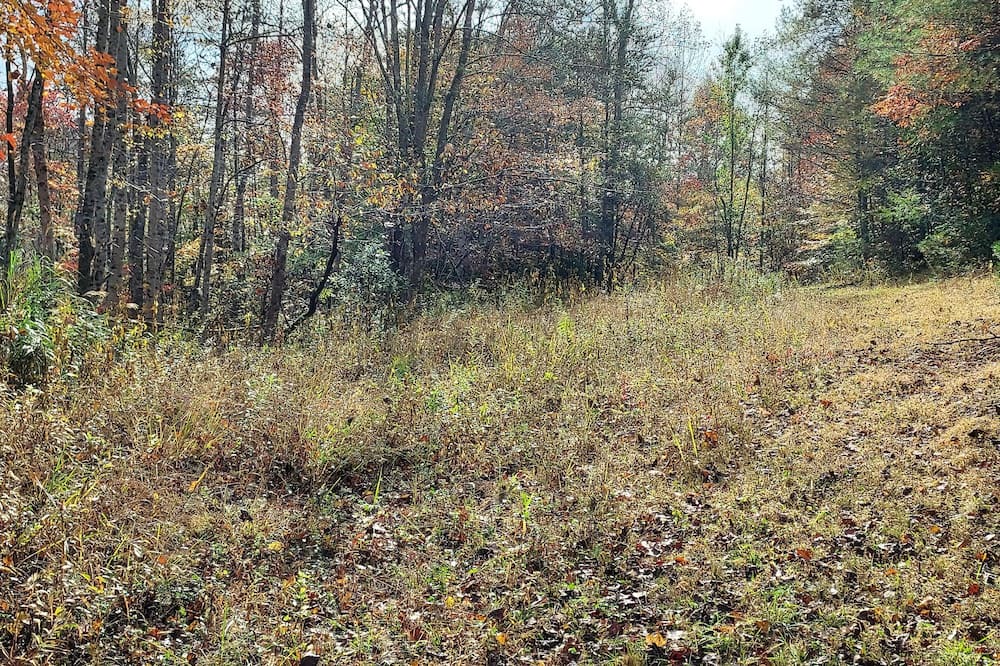 Photo of Others in Kings Creek