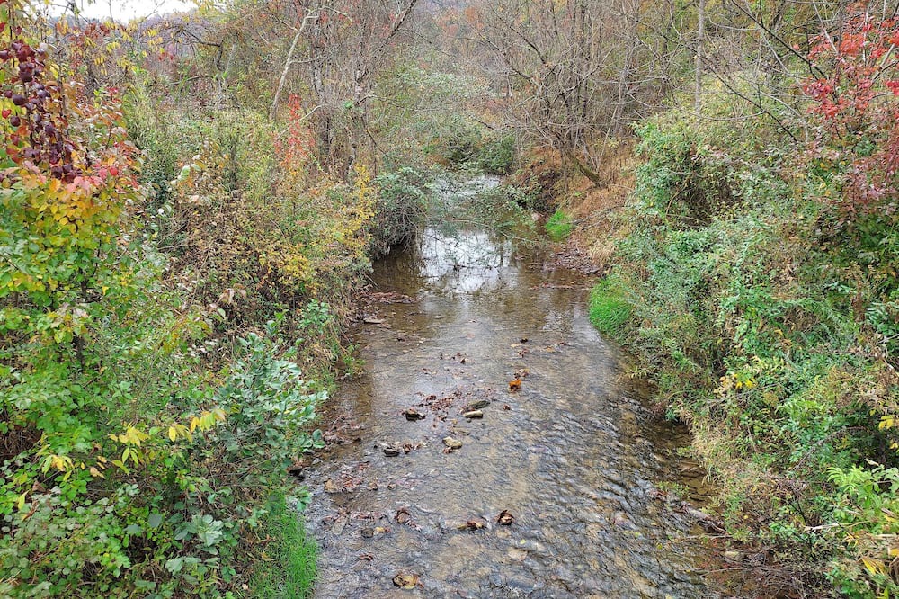 Photo of Others in Kings Creek
