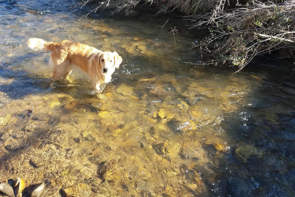 Photo of Others in Kings Creek