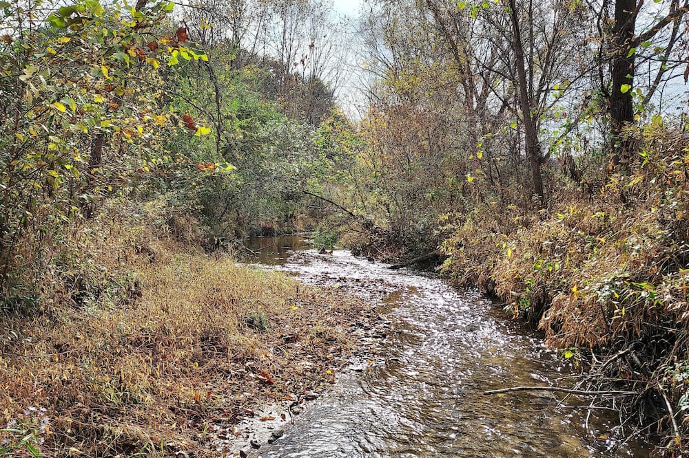 Photo of Others in Kings Creek