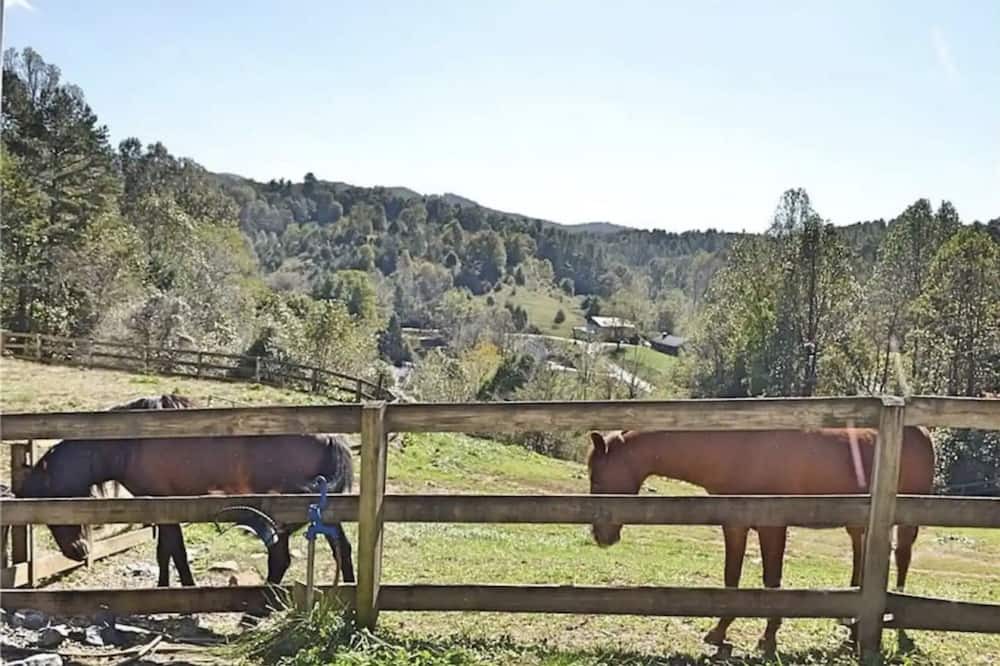 Photo of Others in Weaverville
