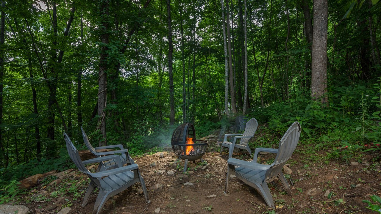 Photo of Outdoor in Weaverville