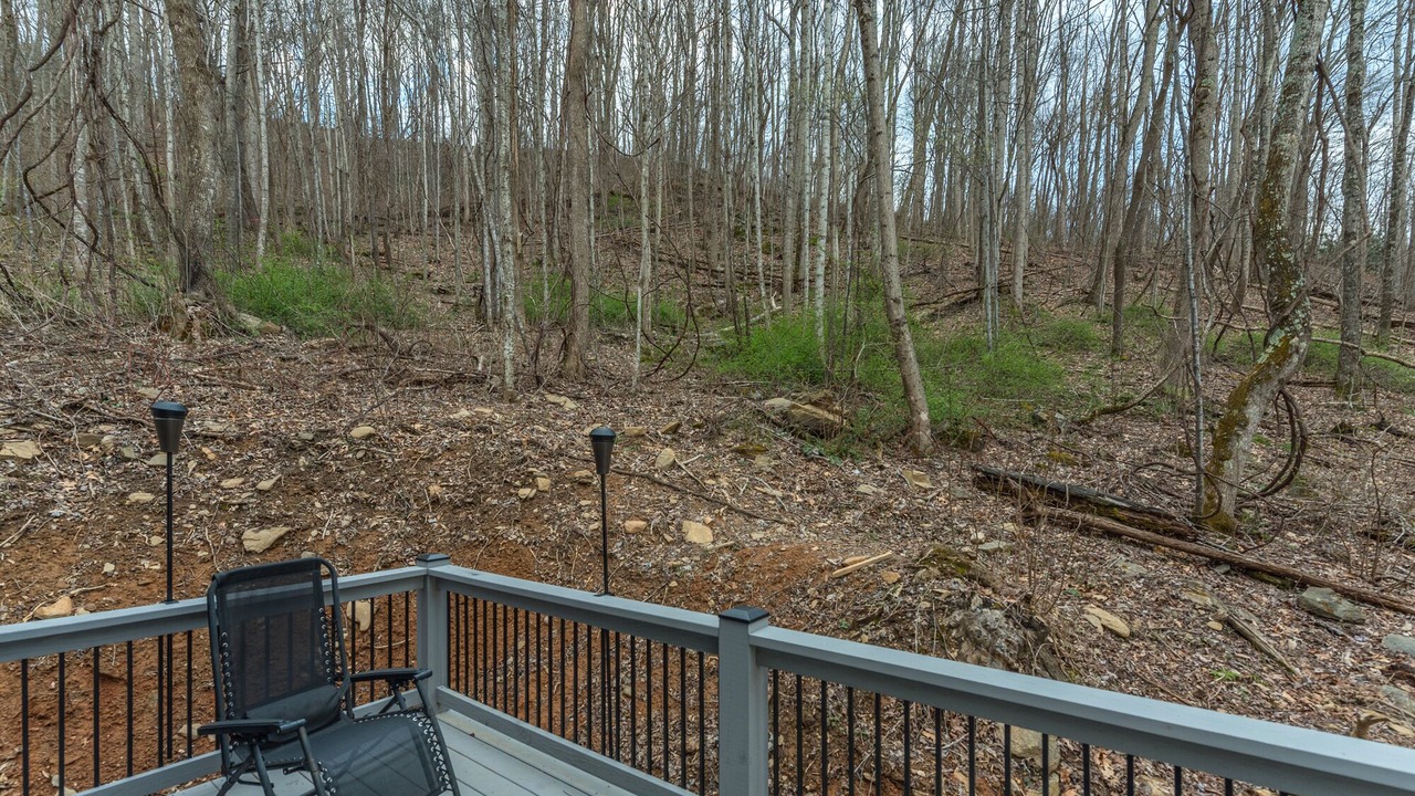 Photo of Outdoor in Weaverville