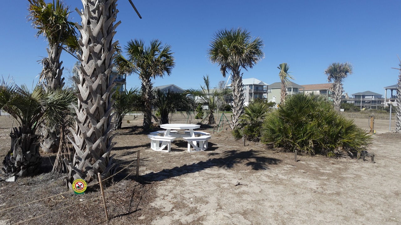 Photo of Outdoor in Topsail Beach