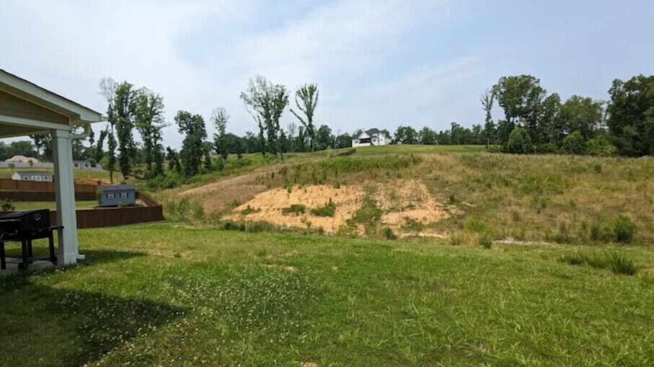 Photo of Outdoor in Belmont