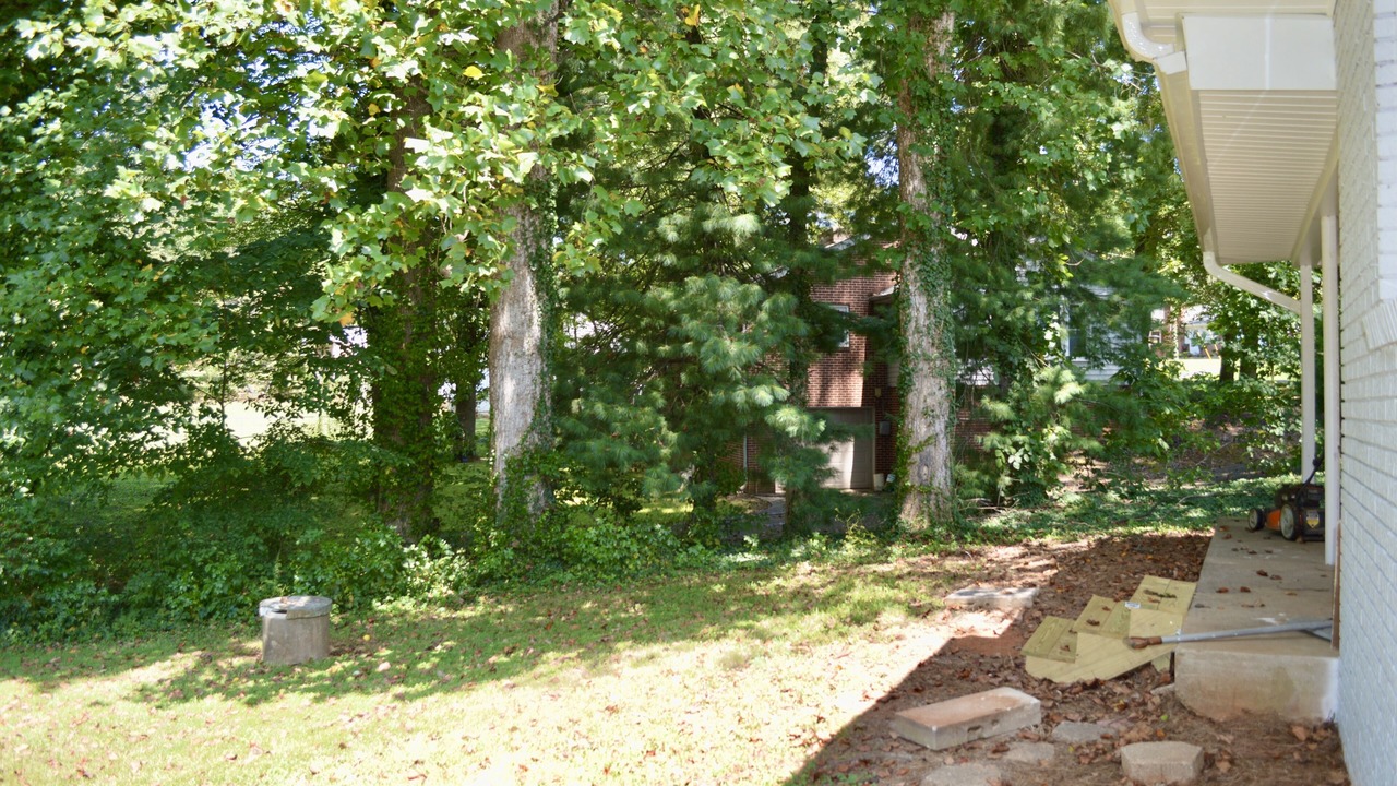 Photo of Outdoor in Winston - Salem