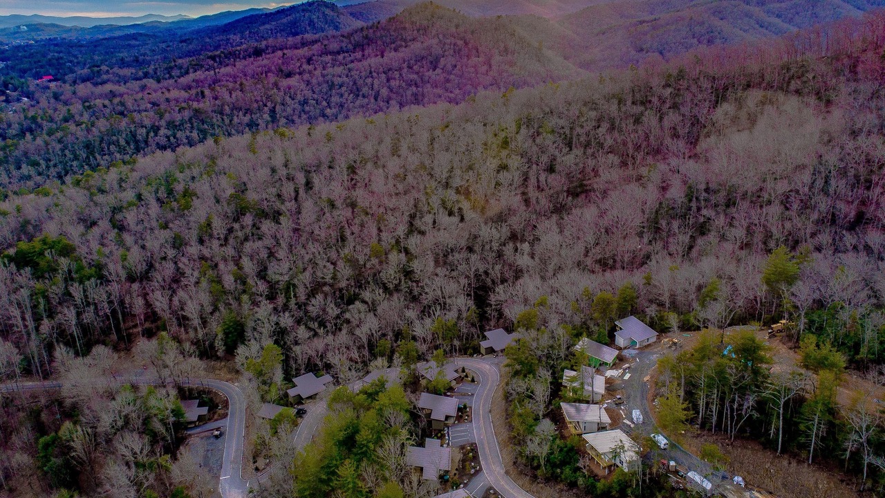 Photo of Outdoor in Pisgah Forest