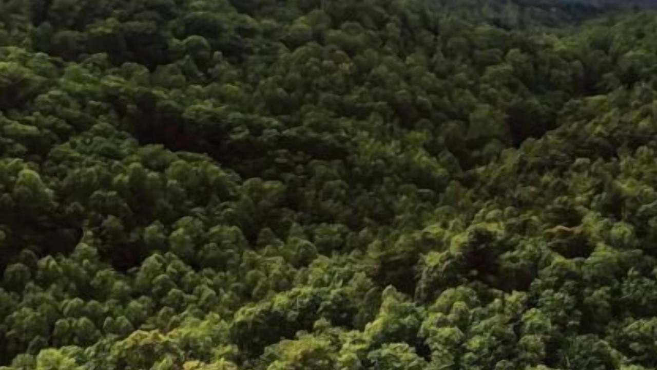 Photo of Outdoor in Scaly Mountain