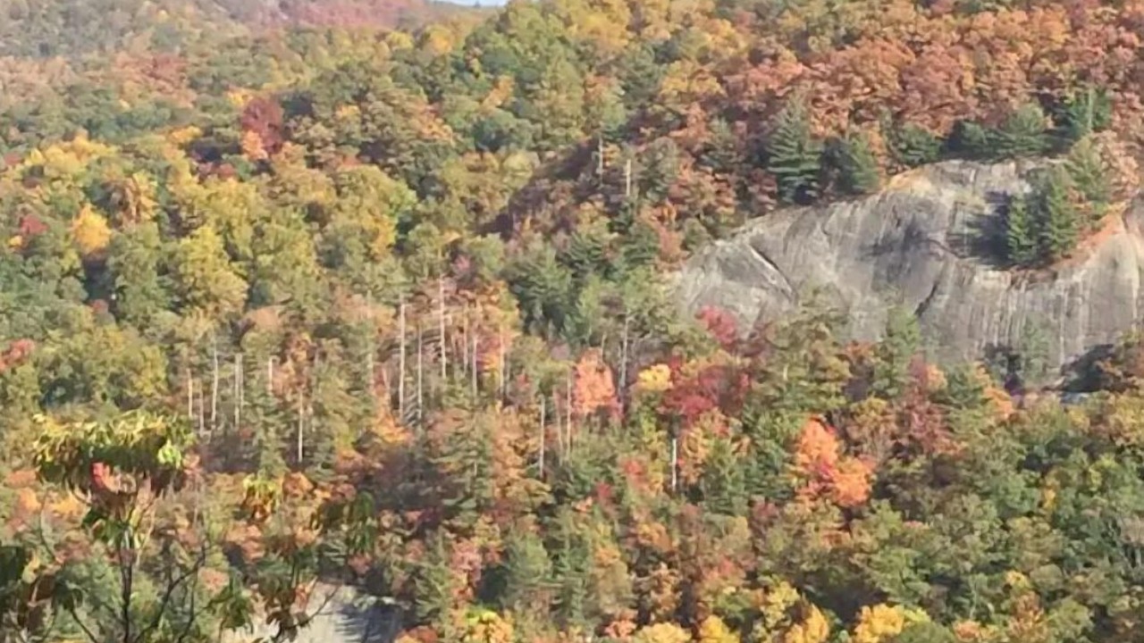 Photo of Outdoor in Scaly Mountain