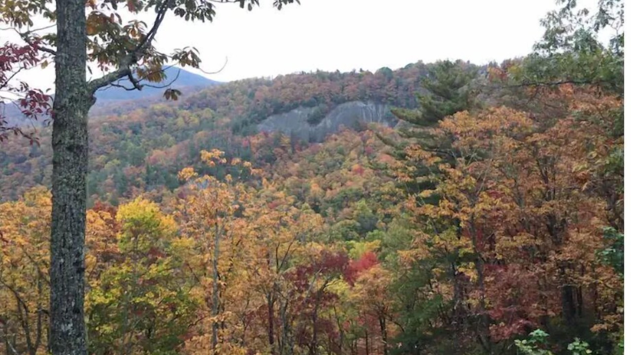 Photo of Outdoor in Scaly Mountain