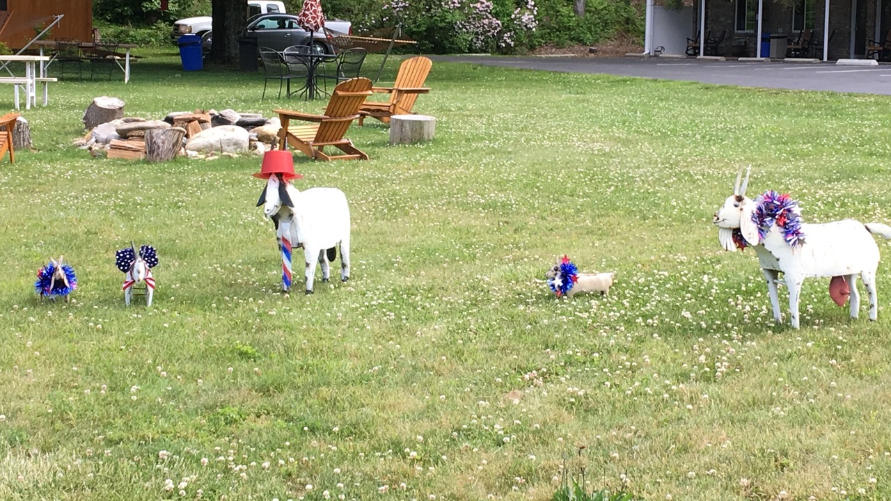 Photo of Outdoor in Maggie Valley