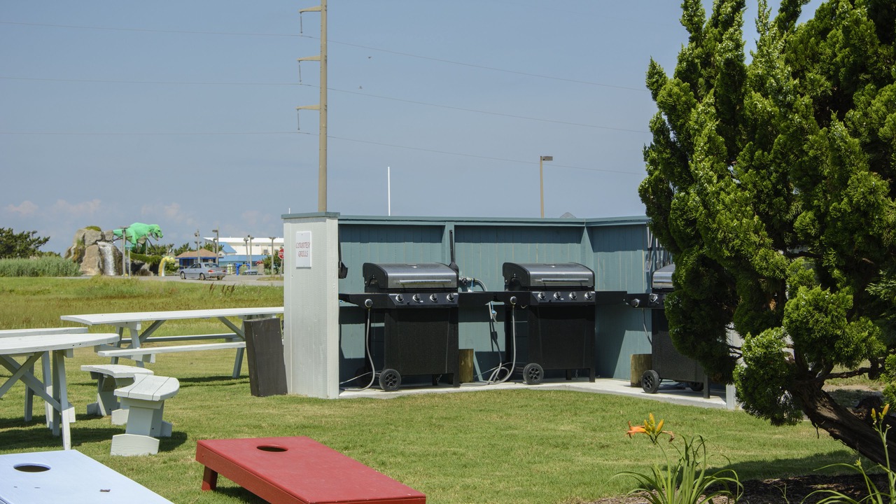 Photo of Outdoor in Nags Head