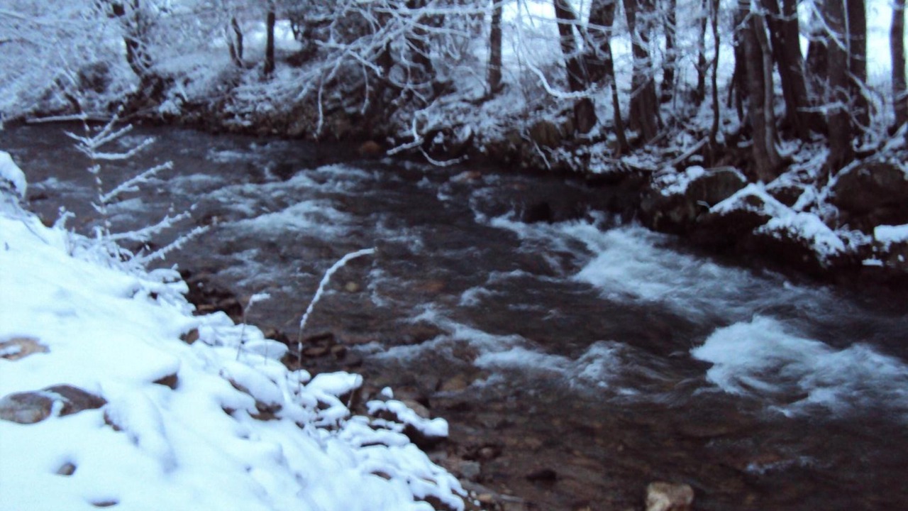Photo of Outdoor in Maggie Valley