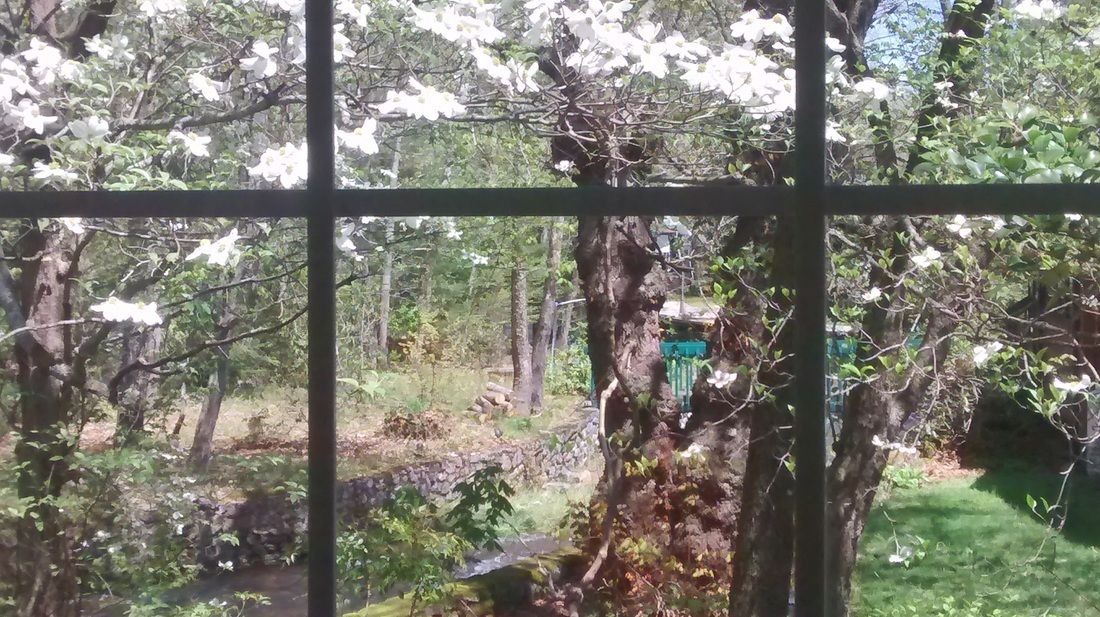 Photo of Bedroom in Maggie Valley