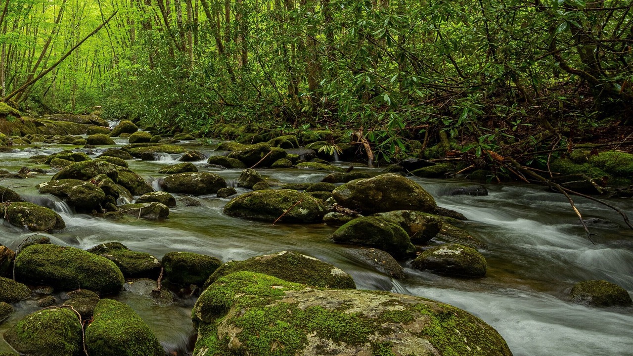 Photo of Outdoor in Robbinsville
