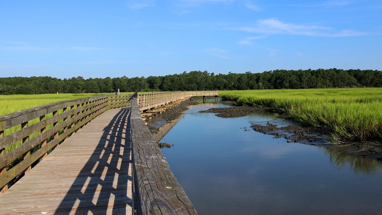 Photo of Others in Carolina Beach