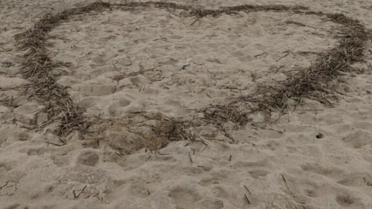 Photo of Others in Kill Devil Hills