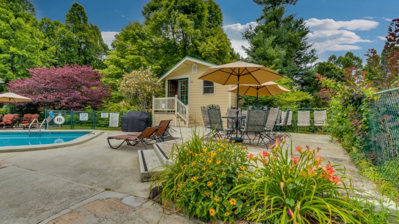 Photo of Outdoor in Laurel Park