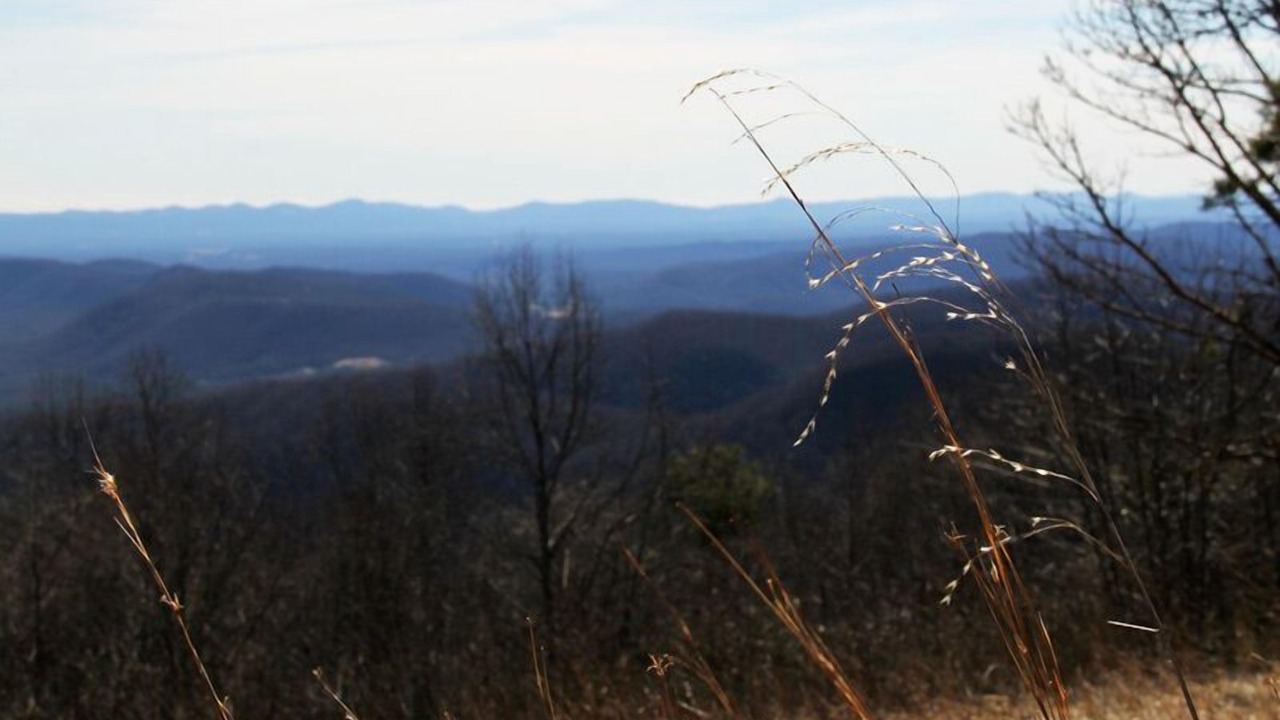 Photo of Others in Roaring Gap