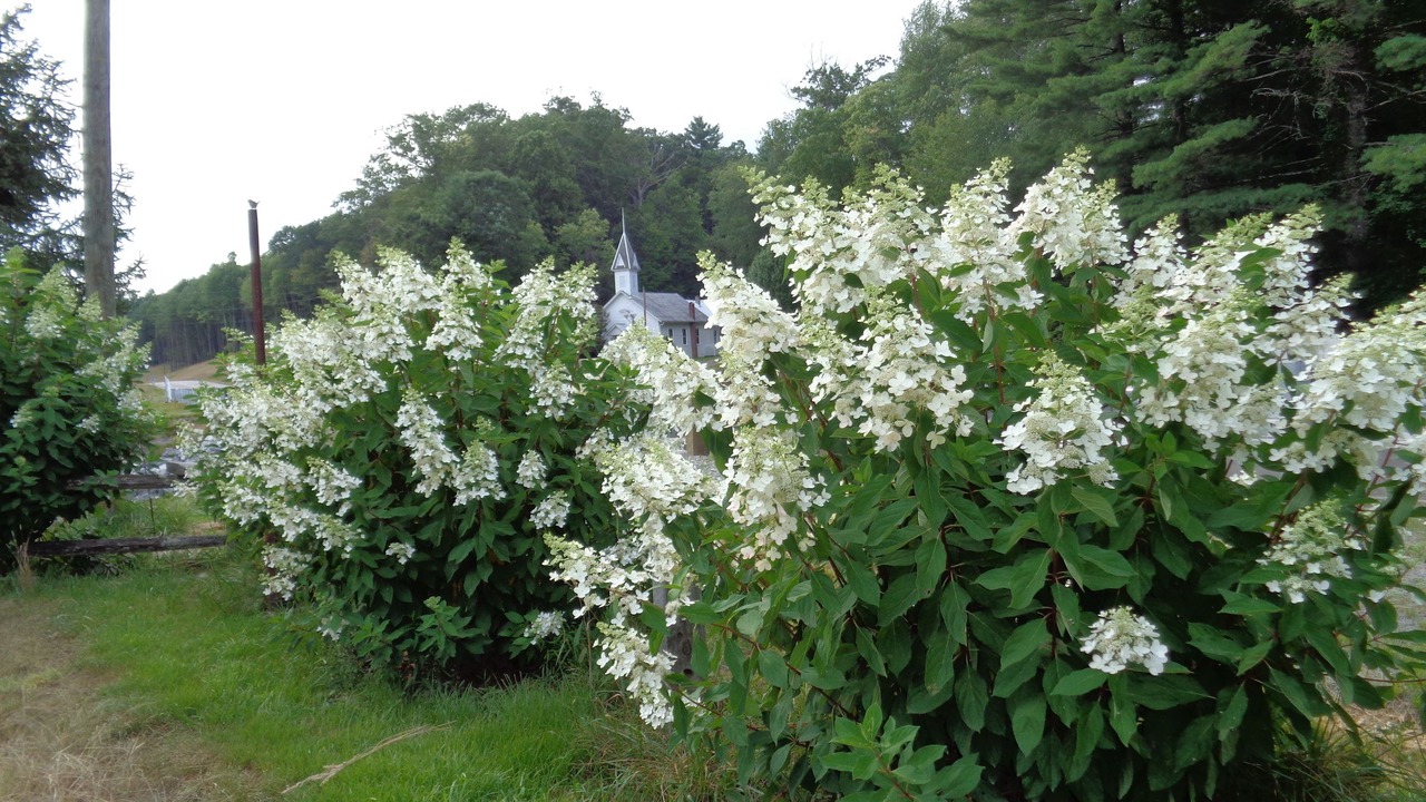 Photo of Outdoor in Roaring Gap