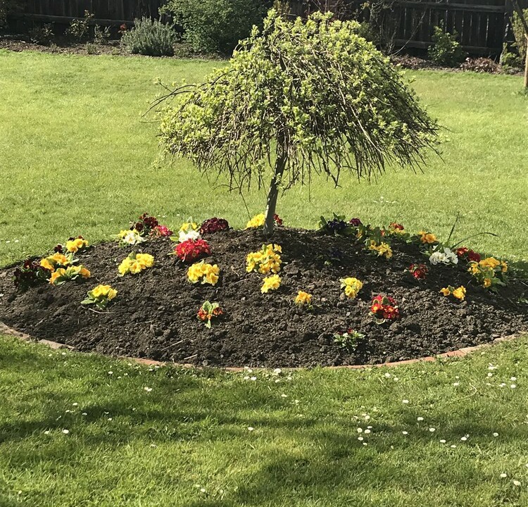Photo of Outdoor in Stanley